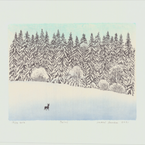Krohn Inari: Talvi