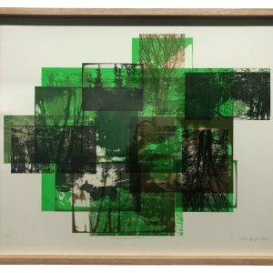 Lampisuo Marko: Maastokuvioinen maisema 31.