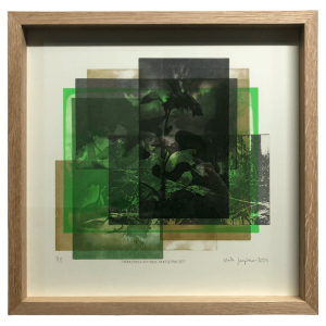 Lampisuo Marko: Maastokuvioinen maisema 35.