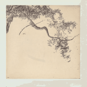 Kivinen Tiina: Poems